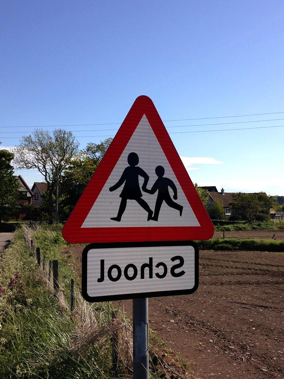 Expert guidance and mentorship icon